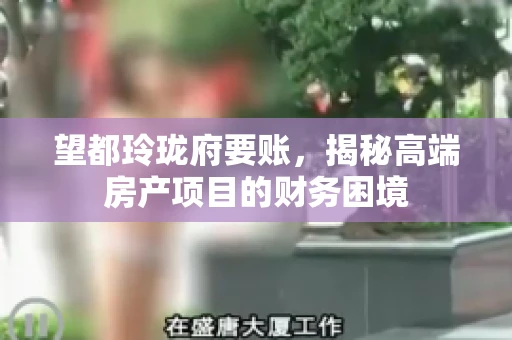 望都玲珑府要账，揭秘高端房产项目的财务困境