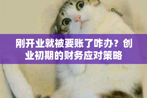 刚开业就被要账了咋办？创业初期的财务应对策略
