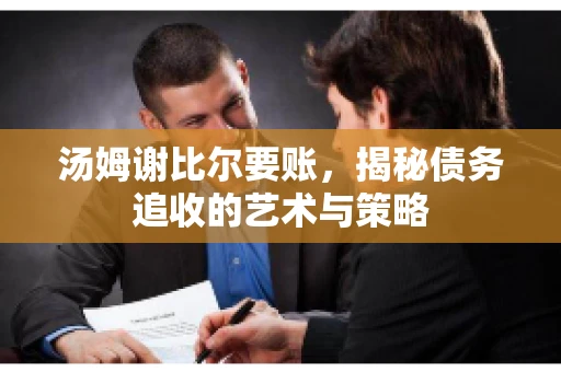 汤姆谢比尔要账，揭秘债务追收的艺术与策略