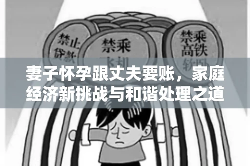 妻子怀孕跟丈夫要账，家庭经济新挑战与和谐处理之道