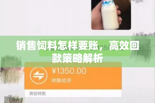 销售饲料怎样要账，高效回款策略解析