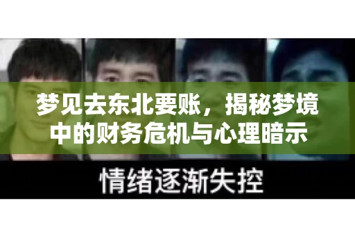 梦见去东北要账，揭秘梦境中的财务危机与心理暗示
