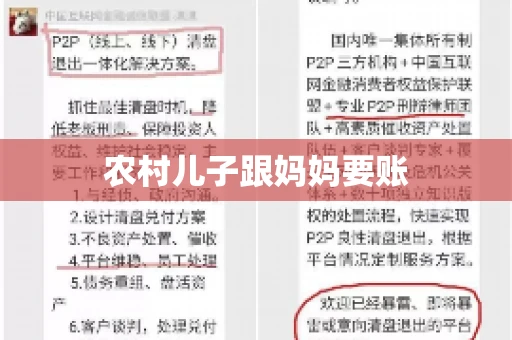 农村儿子跟妈妈要账