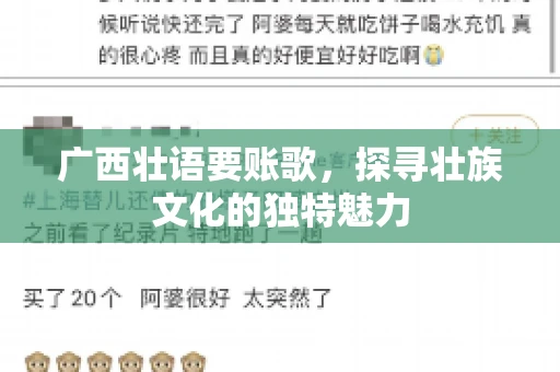 广西壮语要账歌，探寻壮族文化的独特魅力