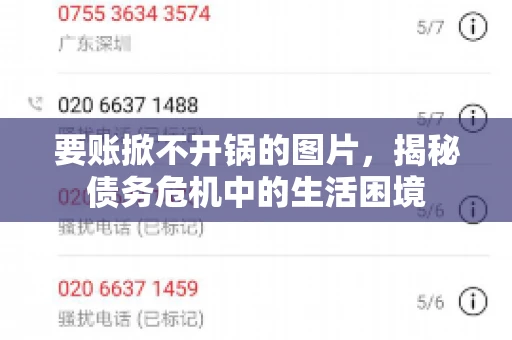 要账掀不开锅的图片，揭秘债务危机中的生活困境