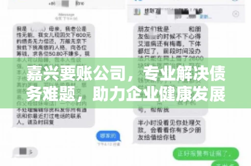 嘉兴要账公司，专业解决债务难题，助力企业健康发展