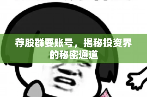 荐股群要账号，揭秘投资界的秘密通道