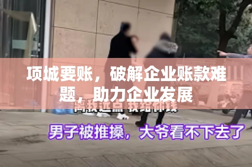 项城要账，破解企业账款难题，助力企业发展