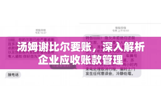 汤姆谢比尔要账，深入解析企业应收账款管理