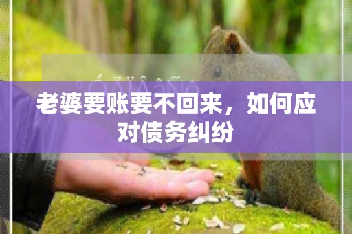 老婆要账要不回来，如何应对债务纠纷