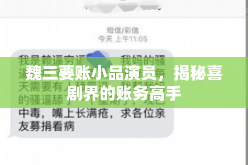 魏三要账小品演员，揭秘喜剧界的账务高手