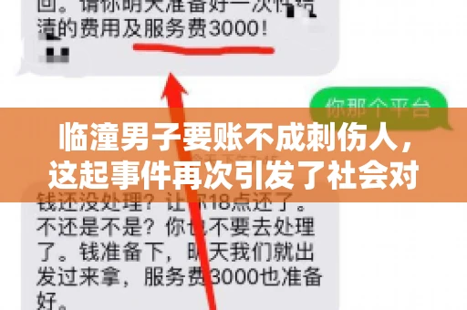 临潼男子要账不成刺伤人，这起事件再次引发了社会对讨债行为的关注。在这个故事中，我们不仅要了解事件的经过，还要思考如何避免类似悲剧的发生。