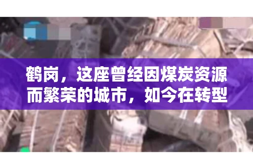 鹤岗，这座曾经因煤炭资源而繁荣的城市，如今在转型中寻求新的发展路径。在这座城市中，有一家名为“鹤岗要账公司”的企业，它以专业的服务，在众多企业中脱颖而出。今天，就让我们一起来了解一下这家公司，看看它是如何在这个充满挑战的市场中立足的。