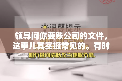 领导问你要账公司的文件，这事儿其实挺常见的。有时候，你可能一头雾水，不知道从何下手。今天，我就来和大家聊聊这个话题，希望能帮到大家。
