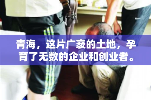 青海，这片广袤的土地，孕育了无数的企业和创业者。然而，在商业活动中，难免会遇到一些欠款问题。这时候，找一家专业的要账公司就显得尤为重要。那么，青海专业要账公司的电话是多少呢？今天，我就来和大家聊聊这个话题。