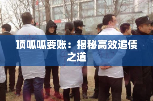 顶呱呱要账：揭秘高效追债之道