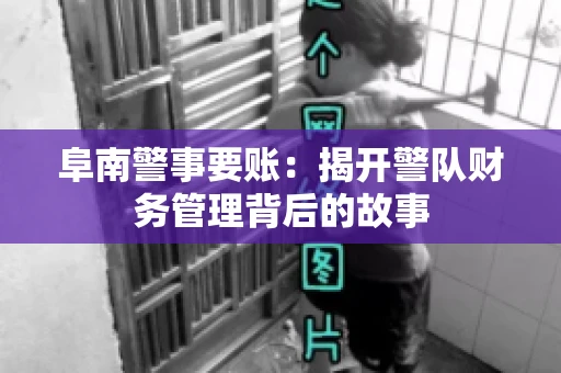 阜南警事要账：揭开警队财务管理背后的故事