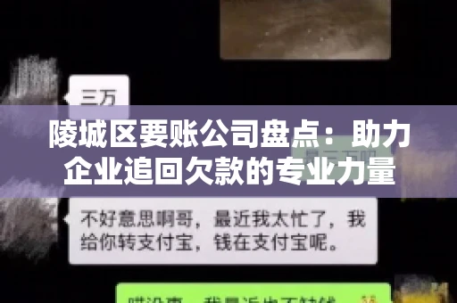 陵城区要账公司盘点：助力企业追回欠款的专业力量