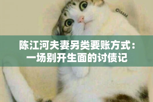 陈江河夫妻另类要账方式：一场别开生面的讨债记