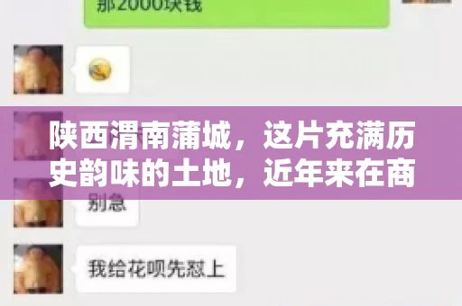 陕西渭南蒲城，这片充满历史韵味的土地，近年来在商业活动中也展现出了其独特的活力。其中，关于“陕西渭南蒲城要账”的话题，成为了不少企业关注的焦点。今天，我们就来聊聊这个话题，看看在蒲城，要账的那些事儿。