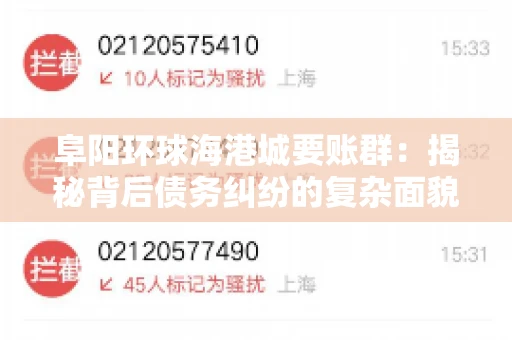 阜阳环球海港城要账群：揭秘背后债务纠纷的复杂面貌
