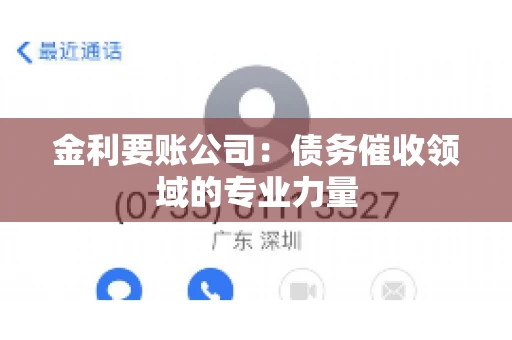 金利要账公司：债务催收领域的专业力量