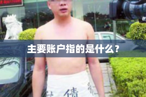 主要账户指的是什么？