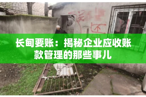 长甸要账：揭秘企业应收账款管理的那些事儿
