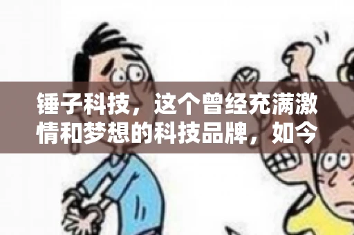 锤子科技，这个曾经充满激情和梦想的科技品牌，如今却陷入了要账的困境。今天，我们就来聊聊锤子科技要账的那些事儿。