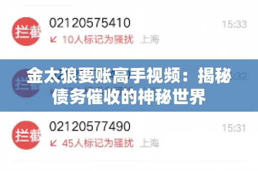 金太狼要账高手视频：揭秘债务催收的神秘世界