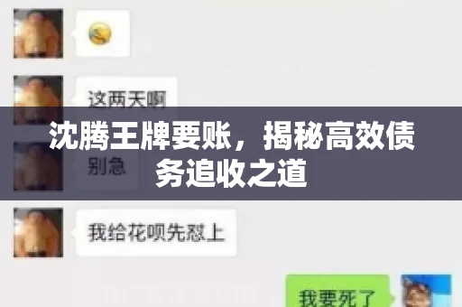 沈腾王牌要账，揭秘高效债务追收之道