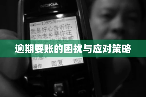 逾期要账的困扰与应对策略