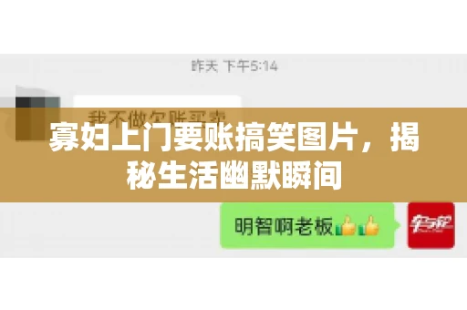 寡妇上门要账搞笑图片，揭秘生活幽默瞬间