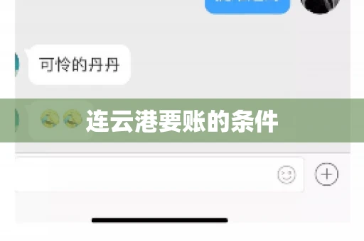 连云港要账的条件