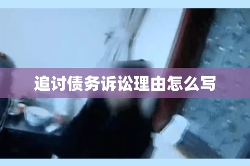 追讨债务诉讼理由怎么写