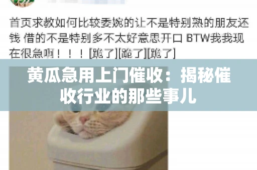 黄瓜急用上门催收：揭秘催收行业的那些事儿