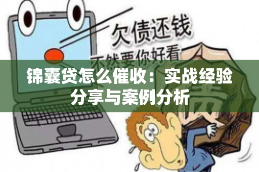 锦囊贷怎么催收：实战经验分享与案例分析