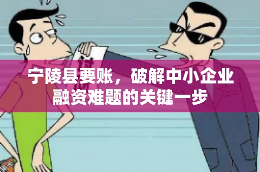 宁陵县要账，破解中小企业融资难题的关键一步