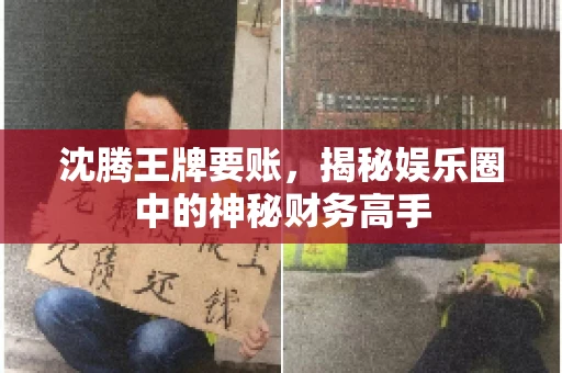 沈腾王牌要账，揭秘娱乐圈中的神秘财务高手