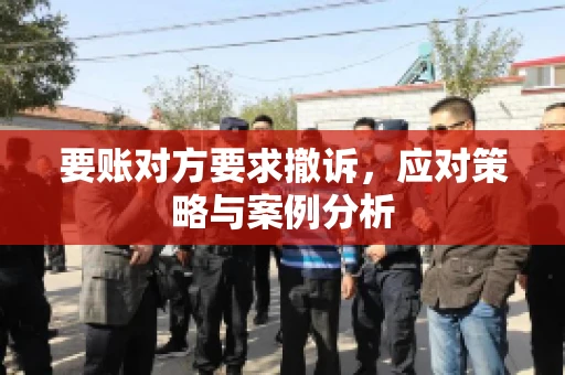 要账对方要求撤诉，应对策略与案例分析