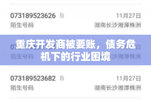 重庆开发商被要账,债务危机下的行业困境 重庆开发商被要账,债务危机下的行业困境